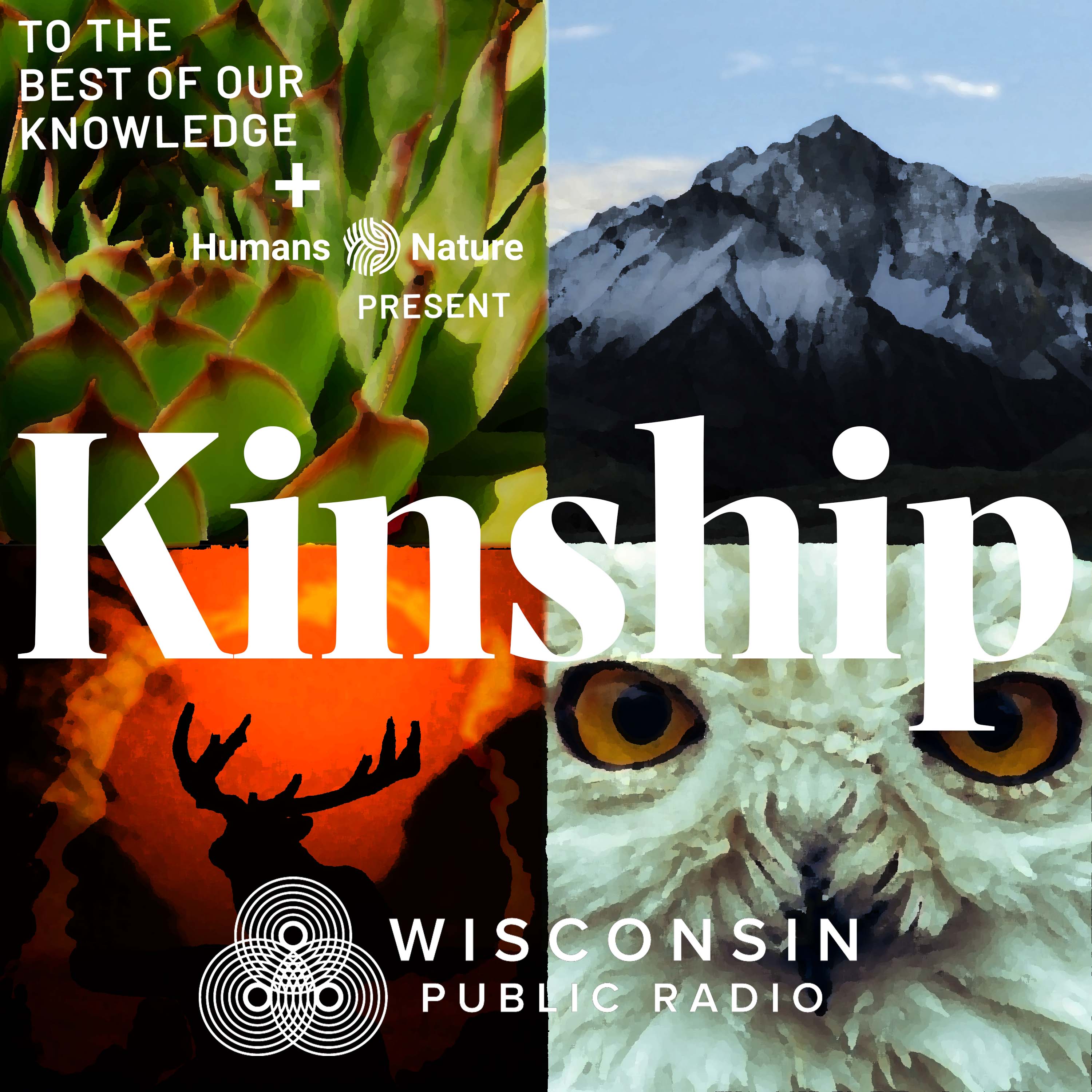 Kinship series from CHN and TTBOOK