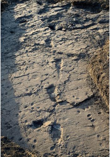 Human footprints discovered at Laetoli, a pre-historic site located in Tanzania.