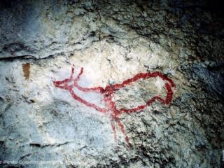 Covalanas panel in the Bernifal Cave.