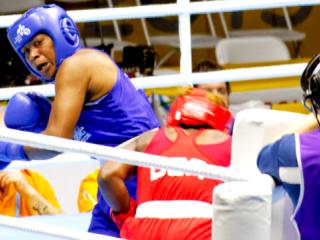 Shields (left) vs. Yenebier Guillén Benítez, 2015 