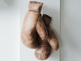 Boxing gloves hung up.