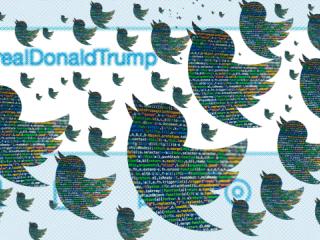 Twitterstorm of bots