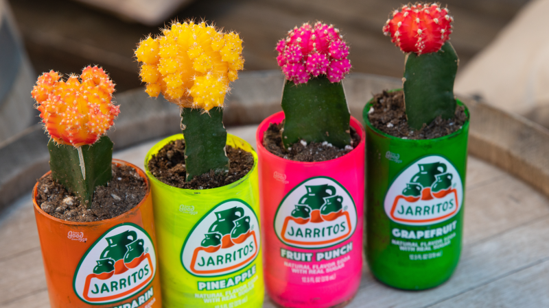 up cycled jarrito flower pots